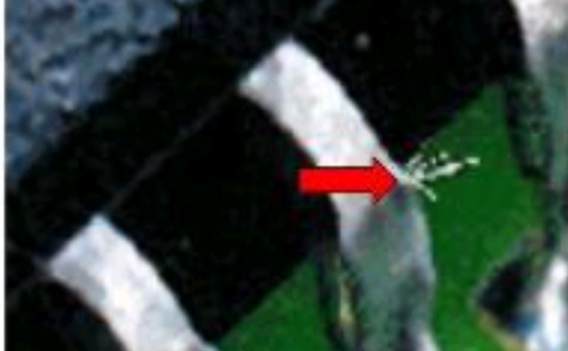 錫的晶須 錫的晶須